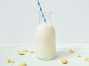 Juice Cleanse Home Recipe #4... Detox Cashew Brazil Milk