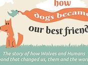 INFOGRAPHIC: DOGS Became Best Friends!