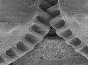 Day, Said, "Gear Up!"