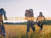 Soundtrack Pick Kings Summer (2013)