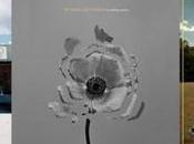 Mgmt, Naked Famous, Royal Bangs