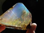 Crystal Opal Looks Like Handheld Aquarium