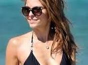 Reasons They're Having with