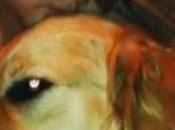 Service Brought Love Life Sick