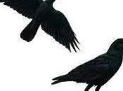 Mysterious Crow Kill Boston