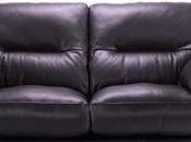 Should Leather Sofa?