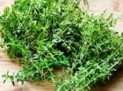 What Health Benefits Using Thyme Herb?