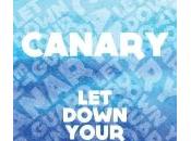 Single Review: Canary Down Your Guard