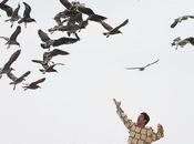 Day: Internet Summarized Photo