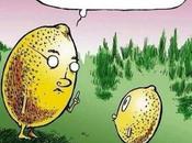 Day: Fatherly Advice from Lemon