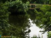 Friday Foto Biltmore Estate Reflections Garden Lake