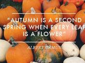 Happy Fall!