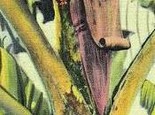 Download Saint Motel's Cover Major Lazer's "Get Free"