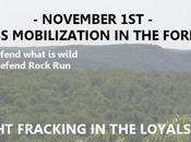 Marcellus Shale Earth First! Action Camp Mobilization Defend Loyalsock