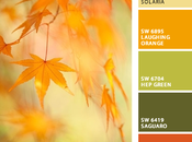 Autumnal Photography: Even More Fall Color Inspiration