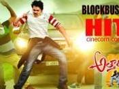 Becomes Highest Grosser 2013 Crosses SVSC