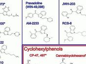 Spiced: Synthetic Cannabis Keeps Getting Stronger