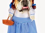 CUTEST Halloween COSTUMES DOGS 2013!