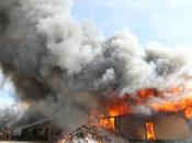 Minnesota Mink Farm Burns Down