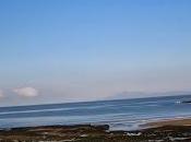 Anorexia Fights Back