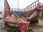 Fishes Rain Gold Palghar