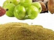 Ayurvedic Remedies Improve Eyesight