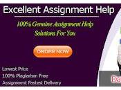Data Structure Assignment Help Services Very Cheap Pocket-Friendly