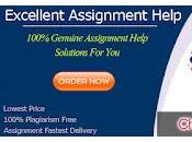 Rest Assured Achieve Nothing Less Than High Distinction With Best Quality Academic Solutions