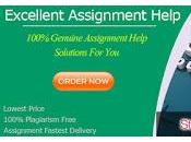 Experience Writing Strategy Management Assignment Help Assure That Will Excellent Grades