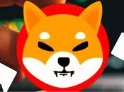 Shiba Coin Holders Must Attentions Invest Sell? -Shiba News