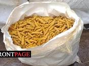Over 1162kg Haul Smuggled Dried Turmeric Seized