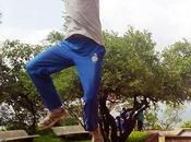 Success Stories Debuts Today Bundled