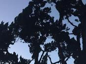 #nft #nftart #nftcommunity #nftartist #nftkorea #nftkorean #art #artwork #nft…