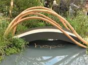 Chelsea Flower Show 2021 September Edition