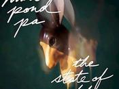 Matt Pond ‘The State Gold’ Album Review
