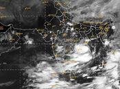 Rose Cyclone, Wars More