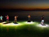 NOCQUA 2000 Light System