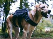 Bravery Goods Adventure Pack