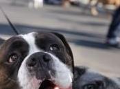 Social Creatures: Interaction