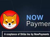 Lead Developer Revealed SHIB Burn 10,000 NFTs Will Shiba Coin (Explained)