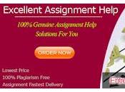 Entrepreneurship Essay Writing Best Place Kind Assignment Help Very Affordable Prices