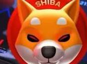 Shiba Coin Leading Transaction Volume Surpassing Dogecoin