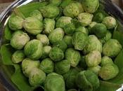 Brussels Sprout Uncovering River