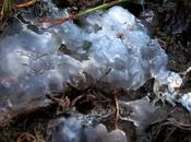 Scary Historical Mysteries Explain