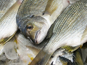 Sustainable Seafood Market 2021 Size, Share, Growth, Covid-19 Impact 2025