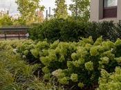 Three Photos from August