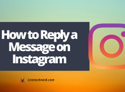 Reply Message Instagram