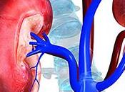 Natural Cure Hemolytic Uremic Syndrome