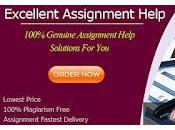 Looking Best Auditing Assignment Help Experts? Then, Your Search Ends Here