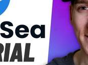 OpenSea: Buying Selling Newbie’s Information!!